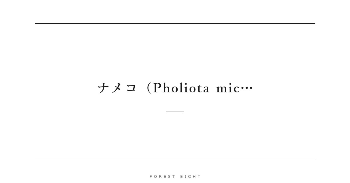 ナメコ（Pholiota mic… | Forest Eight