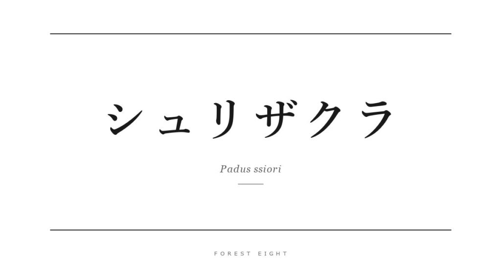シュリザクラ | Forest Eight