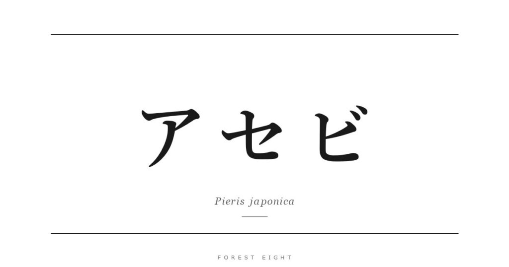 アセビ | Forest Eight
