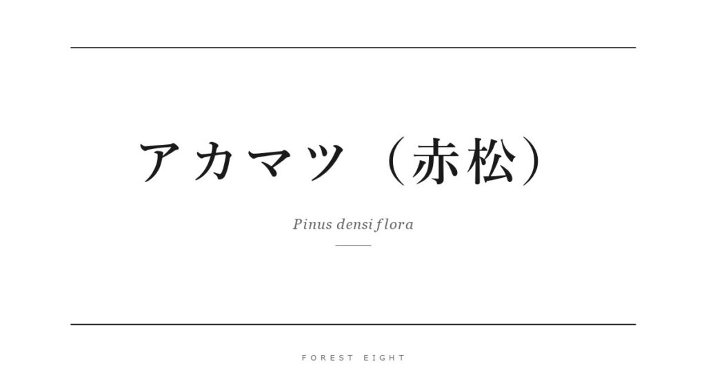 アカマツ（赤松） | Forest Eight