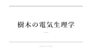 樹木の電気生理学 | Forest Eight