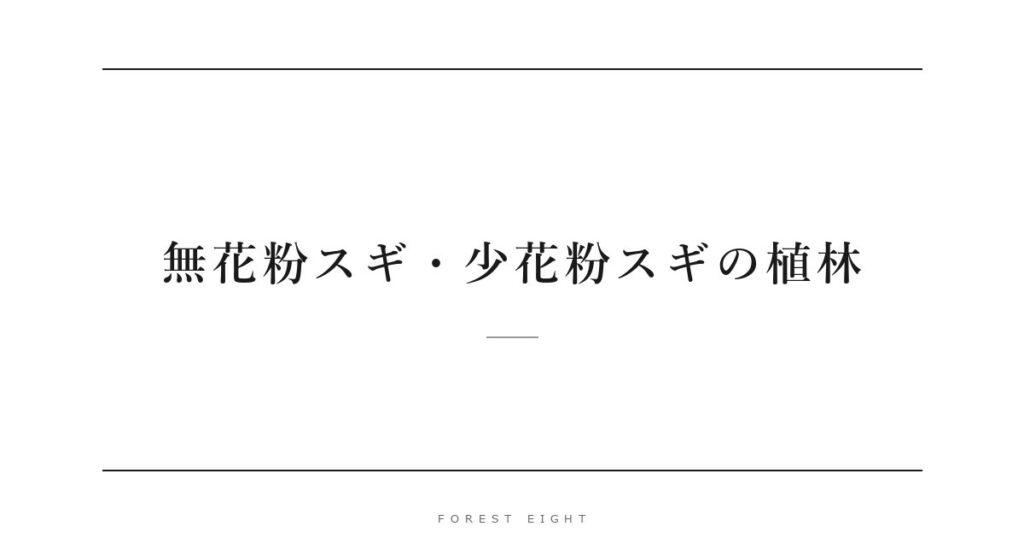 無花粉スギ・少花粉スギの植林 | Forest Eight