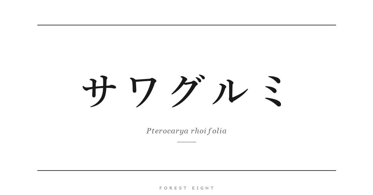 サワグルミ | Forest Eight