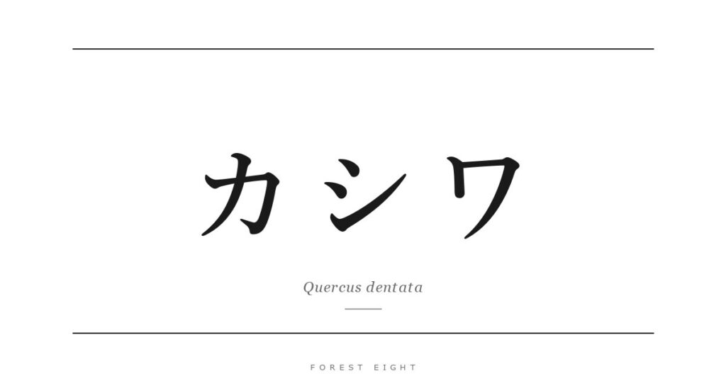 カシワ | Forest Eight