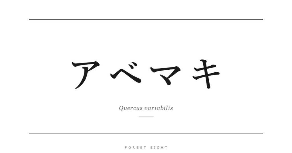 アベマキ | Forest Eight