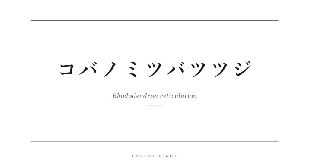 コバノミツバツツジ | Forest Eight