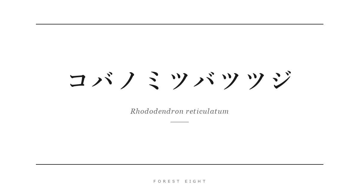 コバノミツバツツジ | Forest Eight