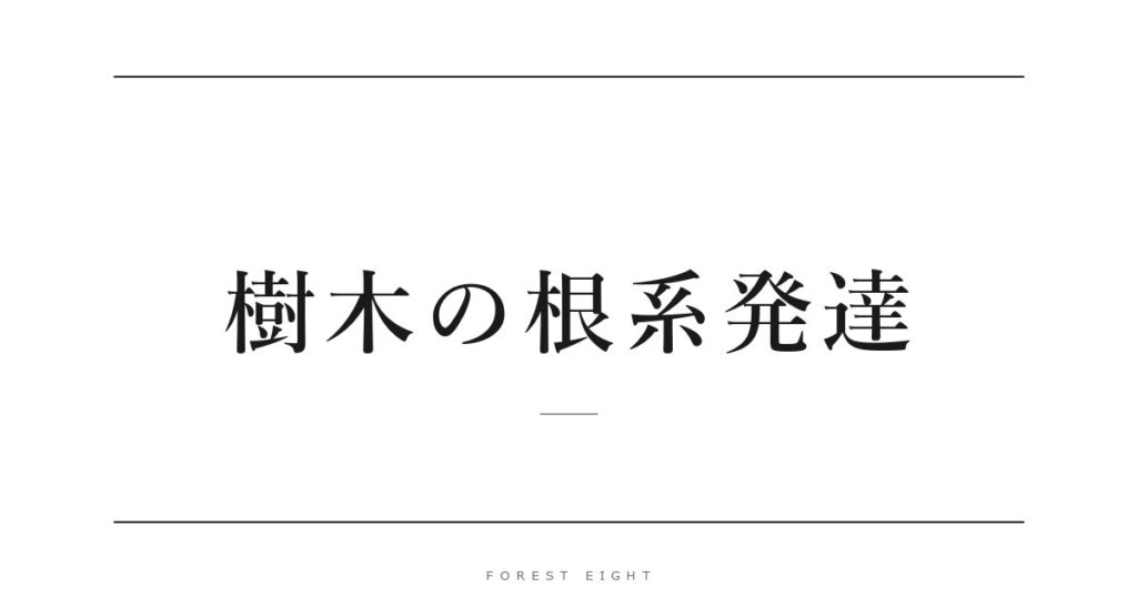 樹木の根系発達 | Forest Eight