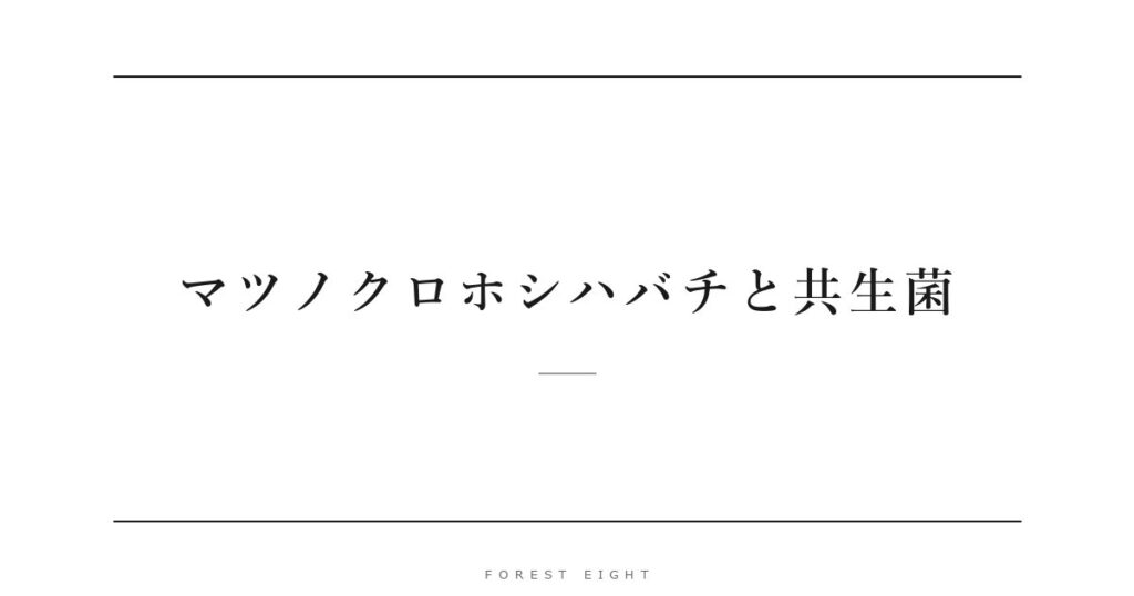 マツノクロホシハバチと共生菌 | Forest Eight