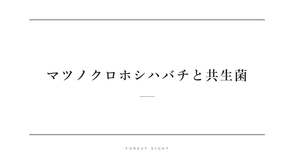 マツノクロホシハバチと共生菌 | Forest Eight