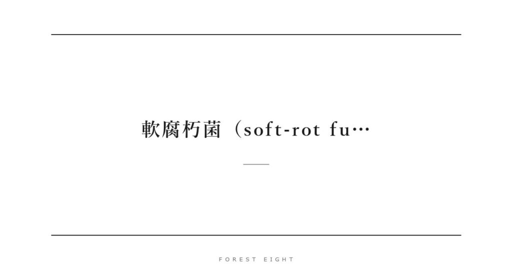 軟腐朽菌（soft-rot fu… | Forest Eight