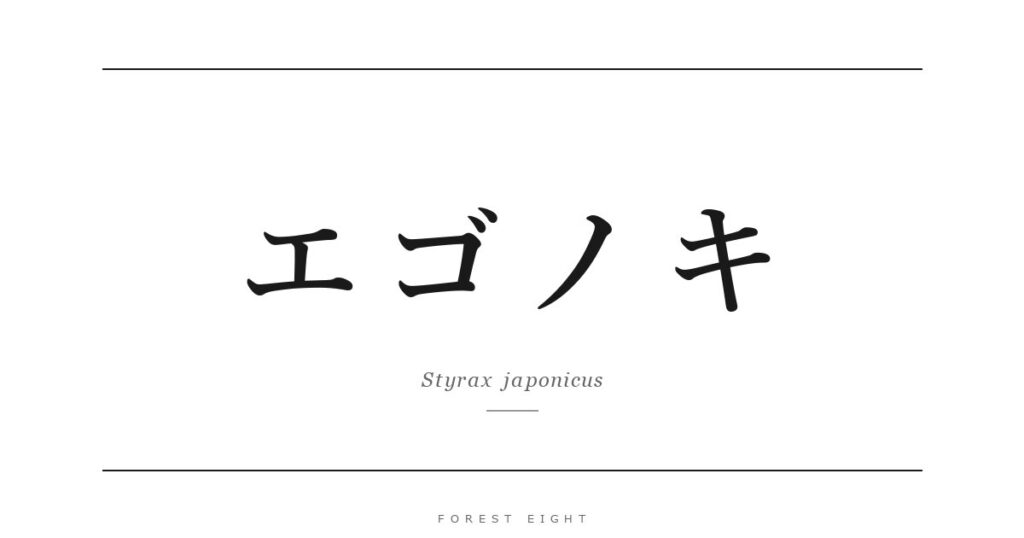 エゴノキ | Forest Eight
