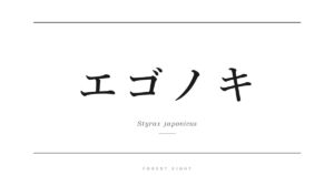 エゴノキ | Forest Eight