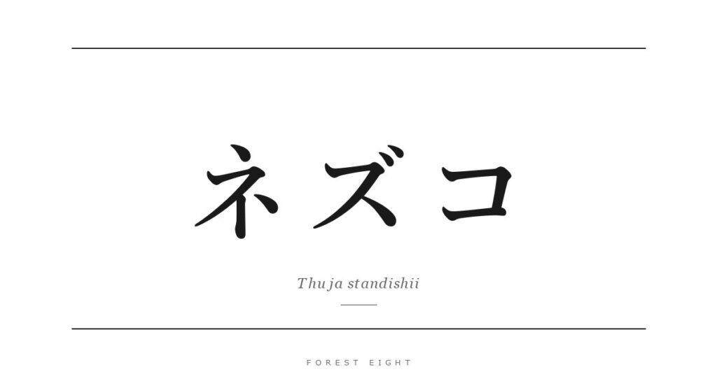 ネズコ | Forest Eight