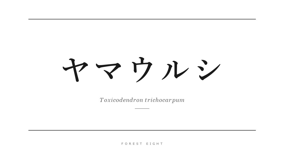 ヤマウルシ | Forest Eight