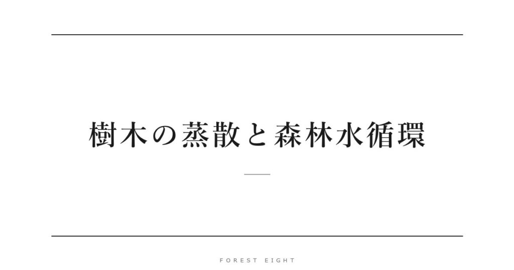 樹木の蒸散と森林水循環 | Forest Eight