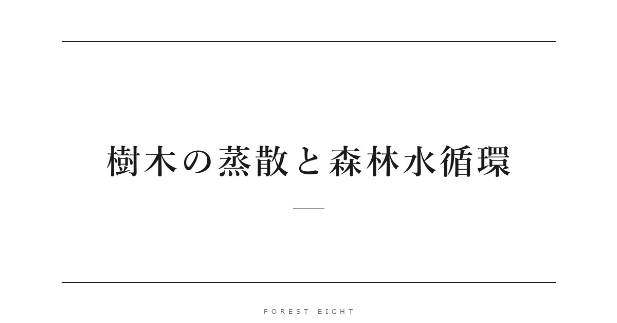 樹木の蒸散と森林水循環 | Forest Eight
