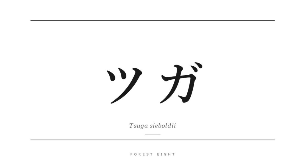 ツガ | Forest Eight