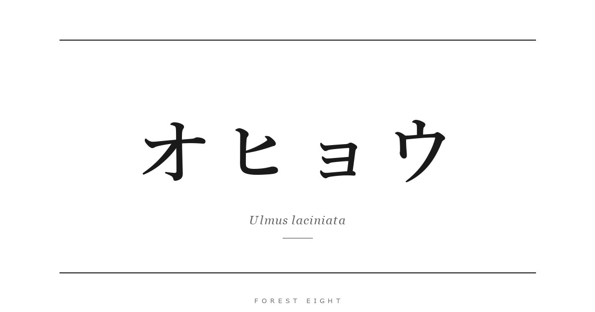 オヒョウ | Forest Eight
