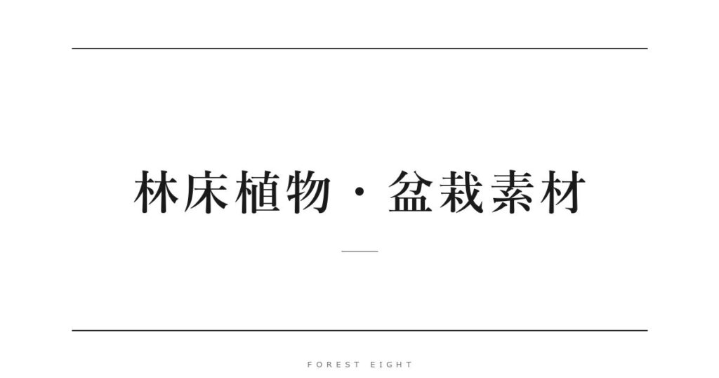林床植物・盆栽素材 | Forest Eight