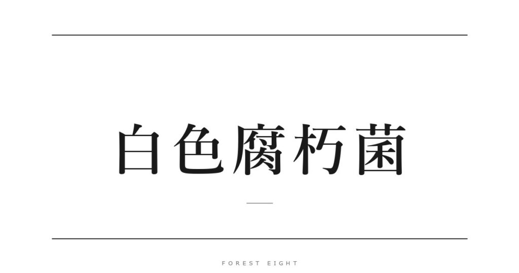 白色腐朽菌 | Forest Eight
