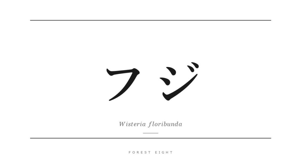 フジ | Forest Eight