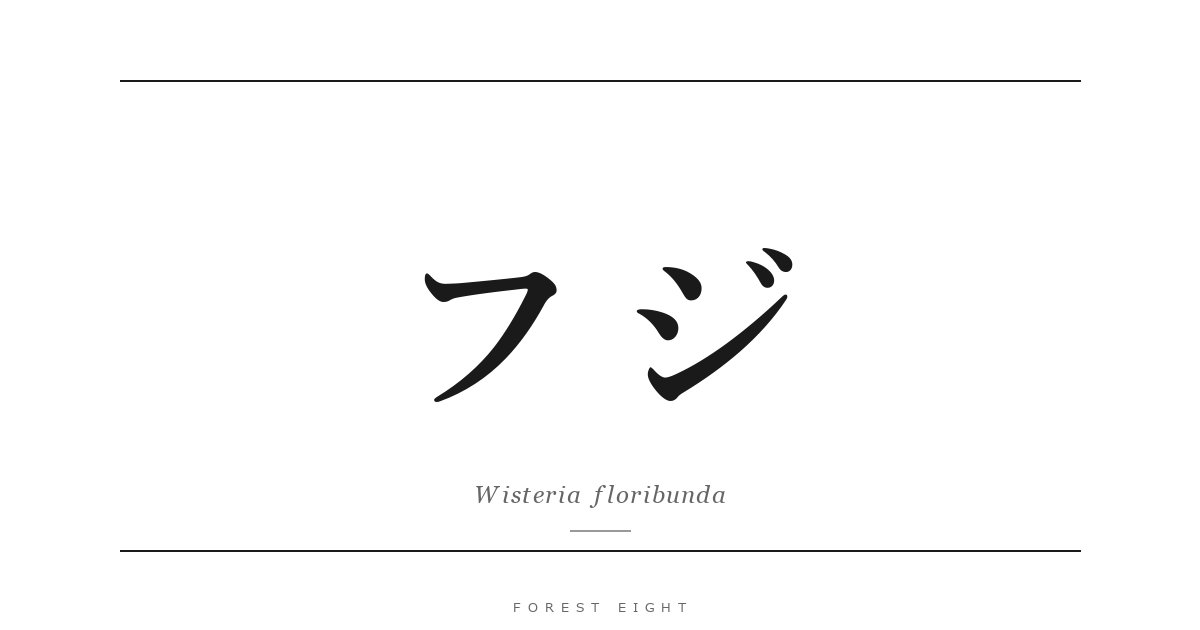 フジ | Forest Eight