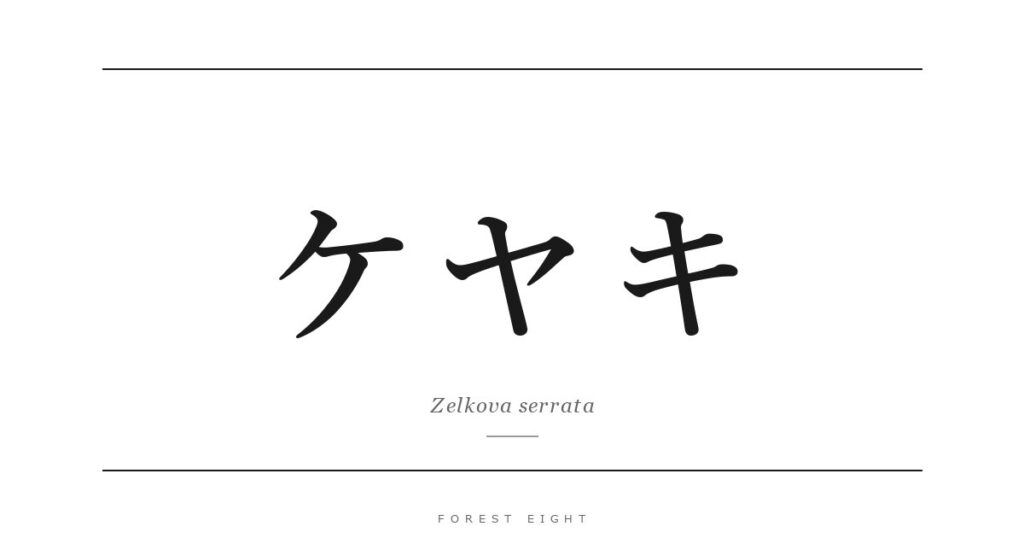ケヤキ | Forest Eight